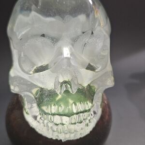 Resin skull with daisy